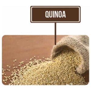 QUINOA